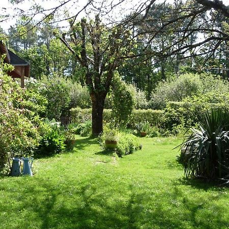 Le Jardin Aux Oiseaux Bed & Breakfast Férel Exterior photo