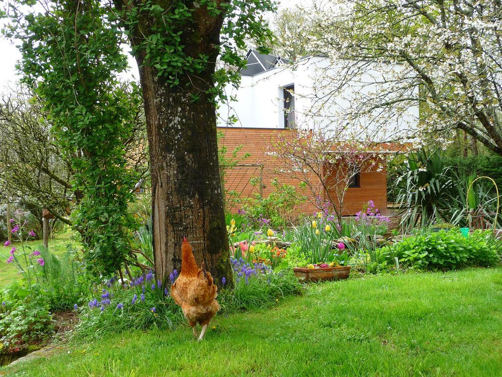Le Jardin Aux Oiseaux Bed & Breakfast Férel Room photo