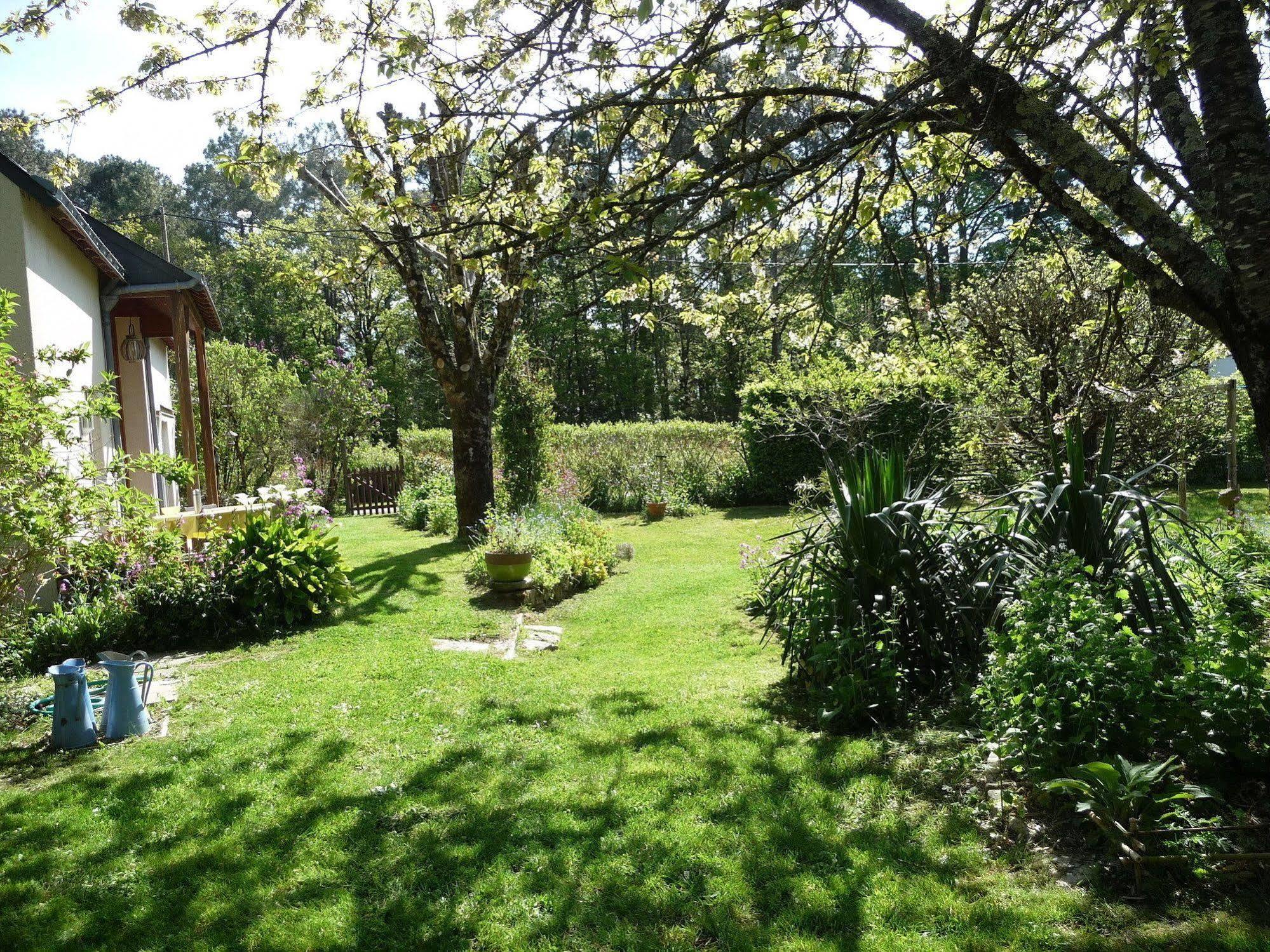 Le Jardin Aux Oiseaux Bed & Breakfast Férel Exterior photo