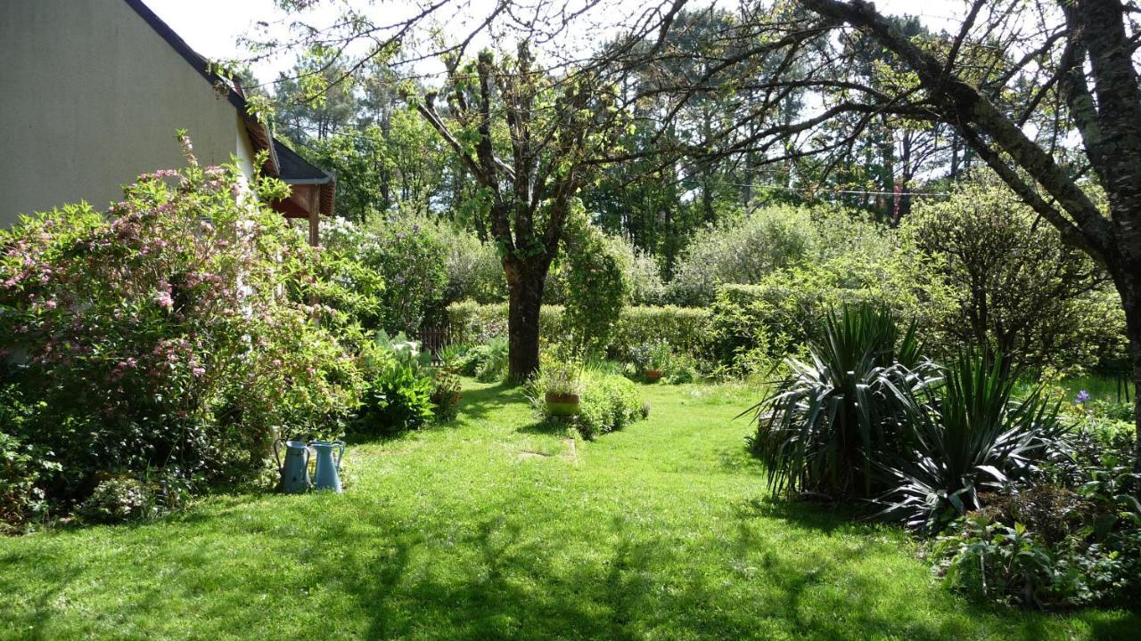 Le Jardin Aux Oiseaux Bed & Breakfast Férel Exterior photo